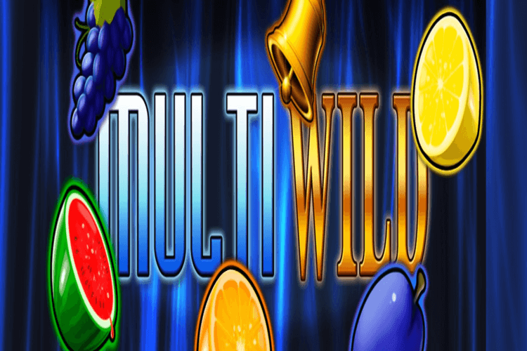 Multi wild slot machines play for free