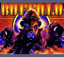 Buffalo Slot Machine